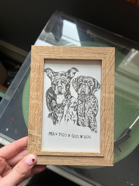 Pet portraits! (Email me to order)