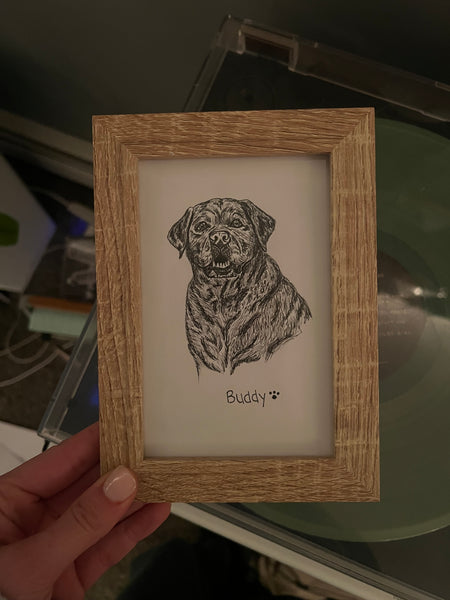 Pet portraits! (Email me to order)