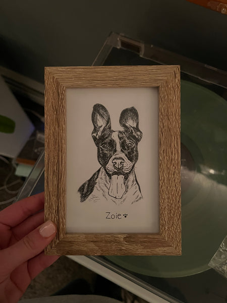 Pet portraits! (Email me to order)